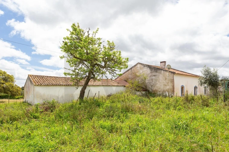 Terreno para Venda em Cercal Foto 34