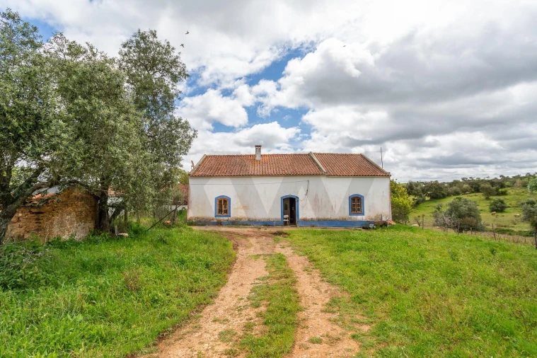 Terreno para Venda em Cercal Foto 26