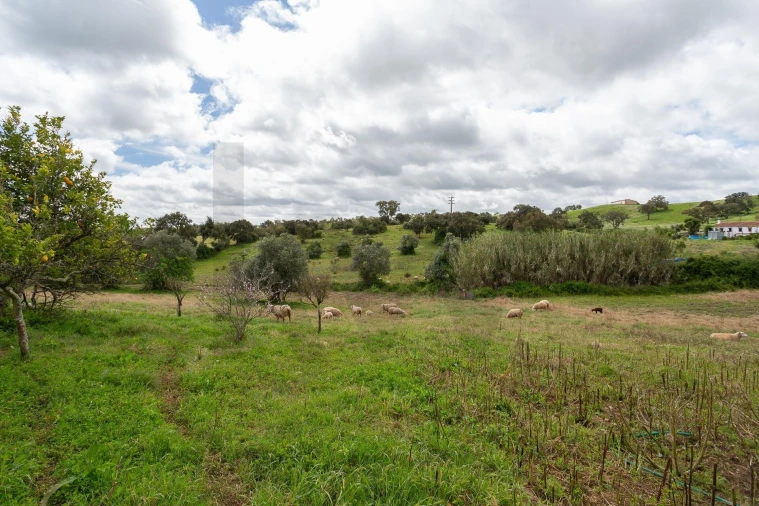 Terreno para Venda em Cercal Foto 11