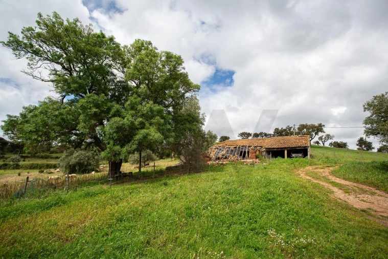 Terreno para Venda em Cercal Foto 14