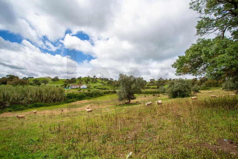 Terreno para Venda em Cercal Foto 29