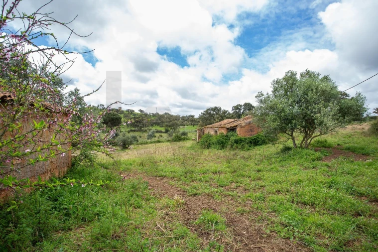 Terreno para Venda em Cercal Foto 19