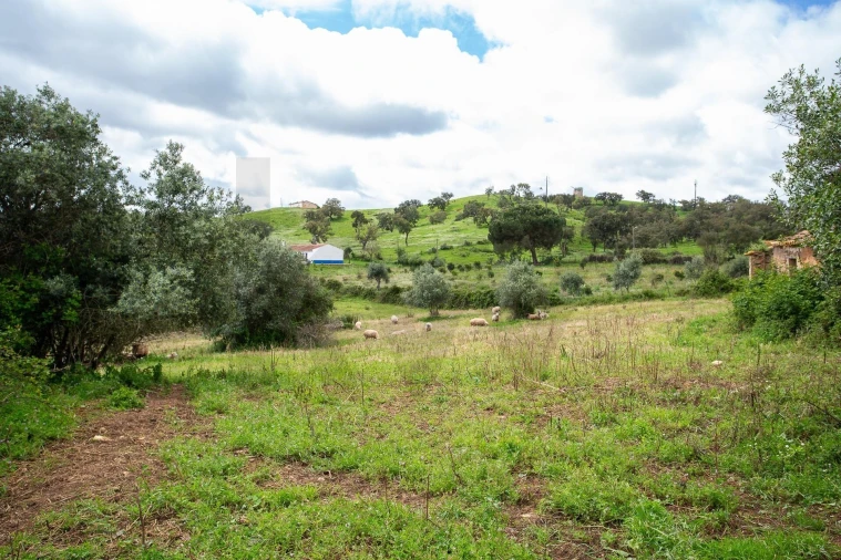 Terreno para Venda em Cercal Foto 21
