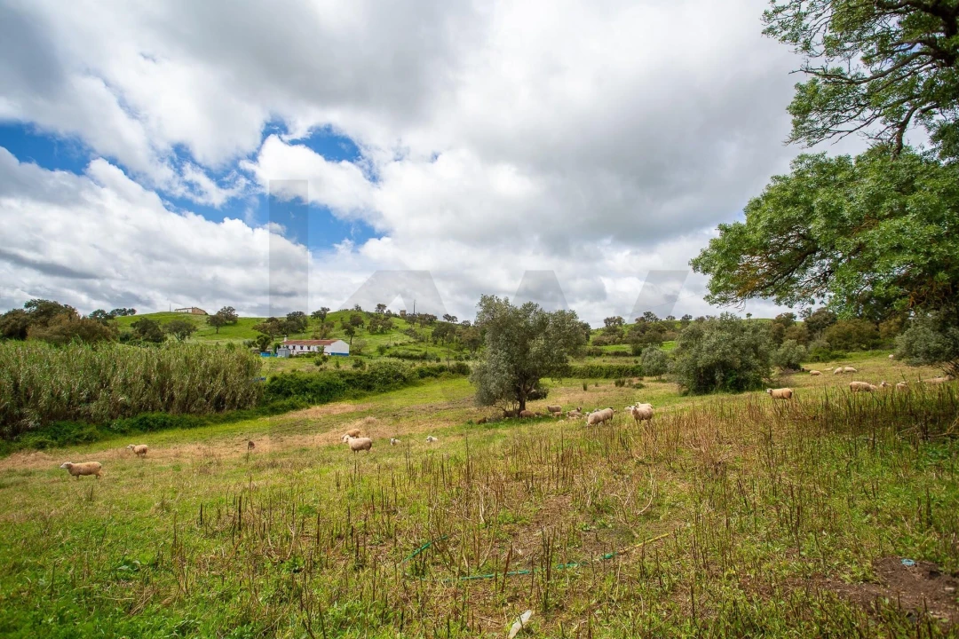 Terreno para Venda em Cercal Foto 29
