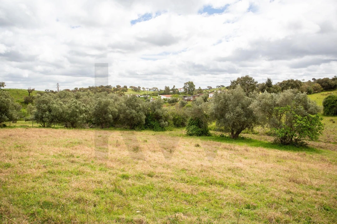 Terreno para Venda em Cercal Foto 32