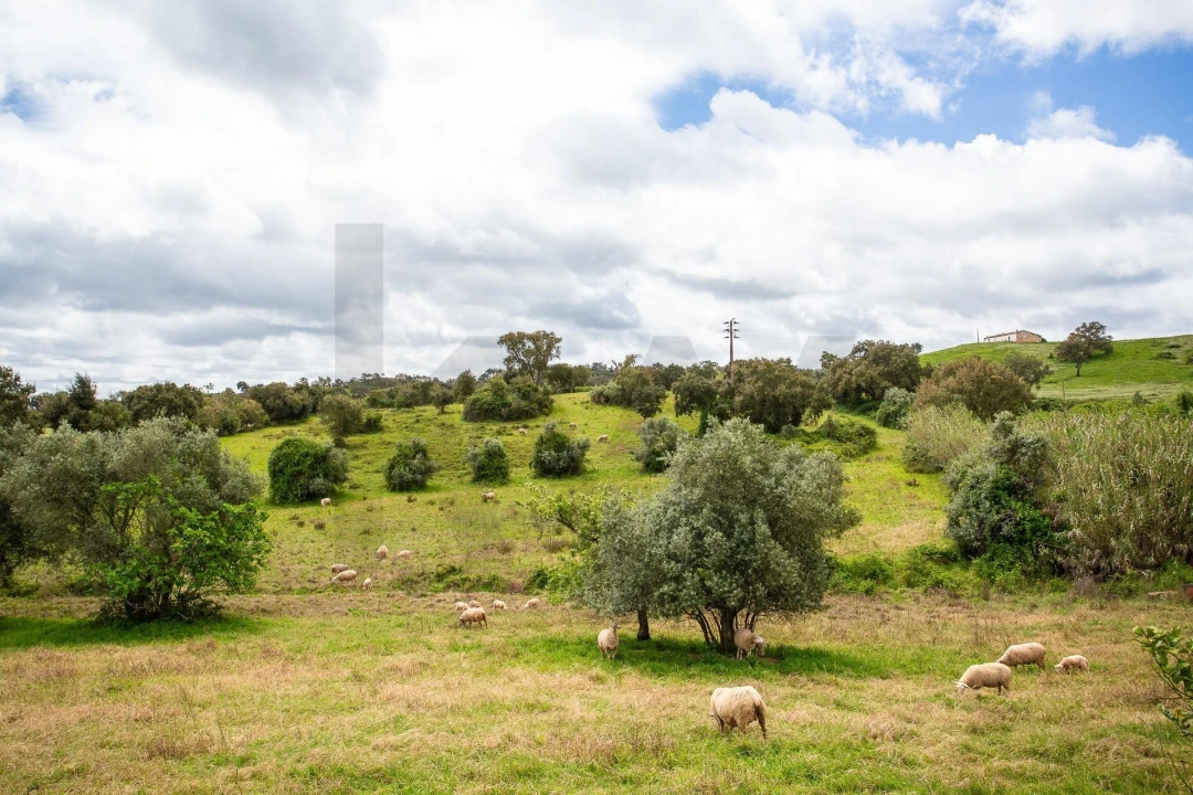 Terreno para Venda em Cercal Foto 31