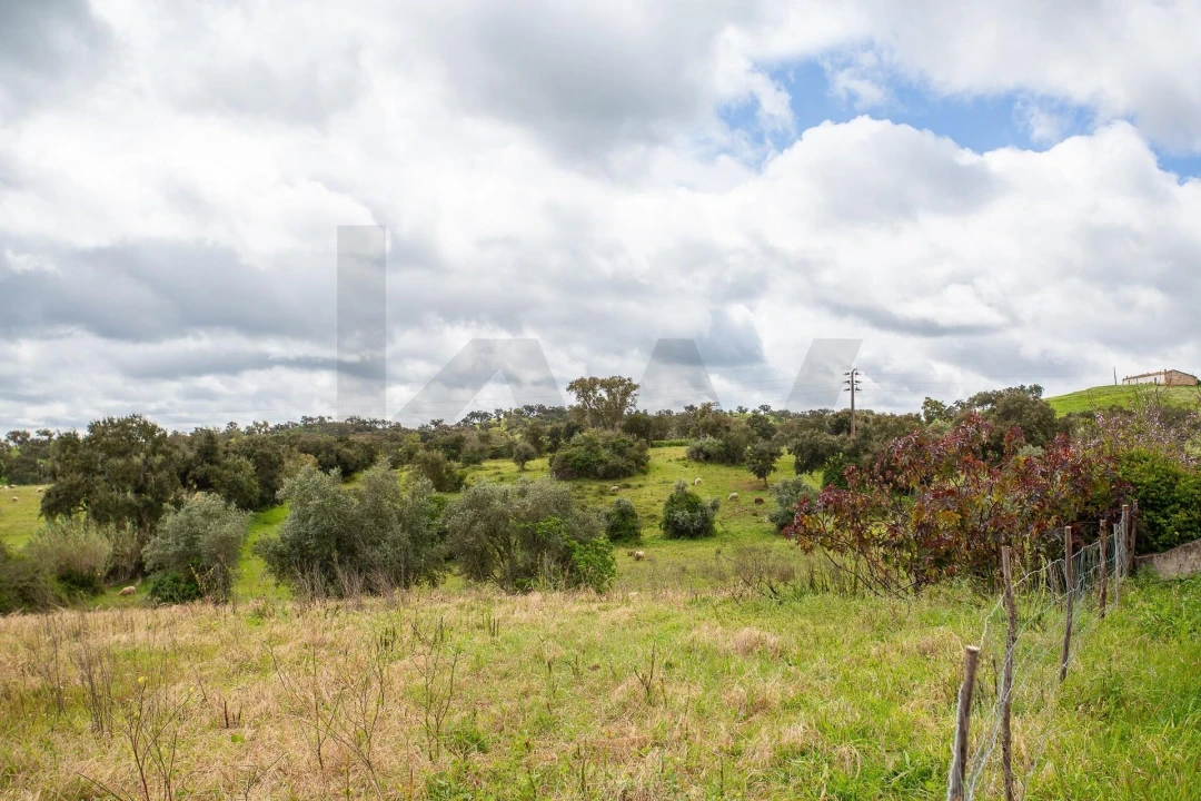 Terreno para Venda em Cercal Foto 28