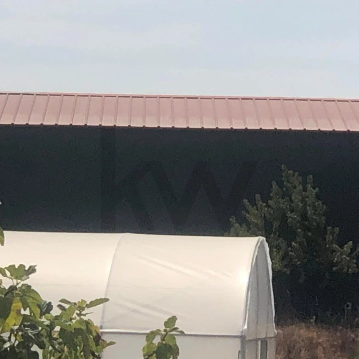 Quinta para Venda em Assares e Lodões Foto 6