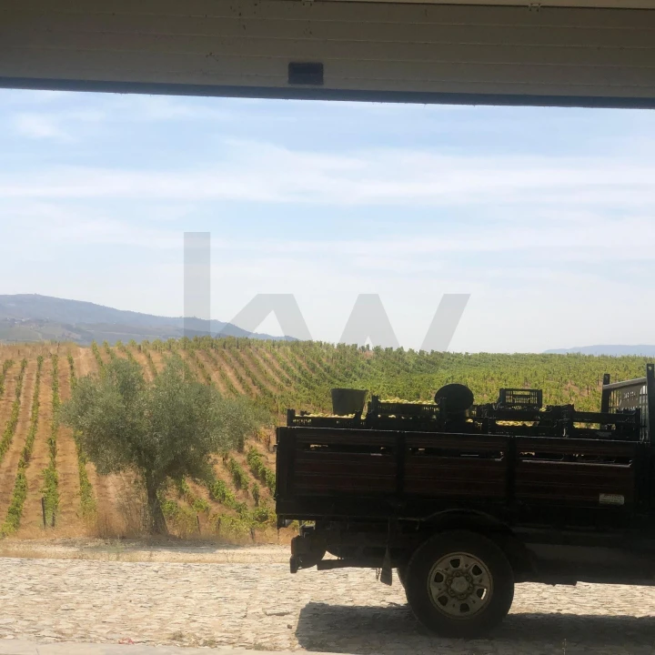 Quinta para Venda em Assares e Lodões Foto 12