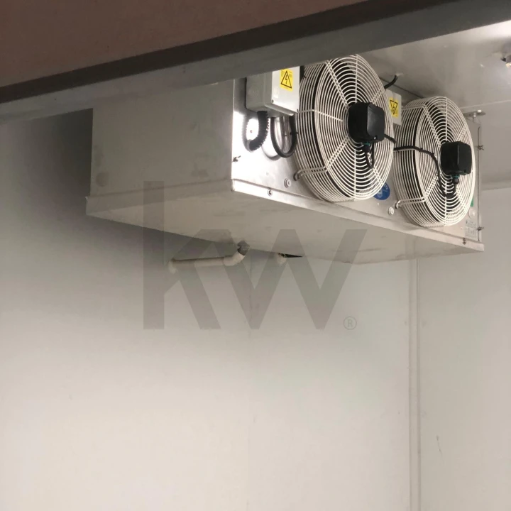 Quinta para Venda em Assares e Lodões Foto 11