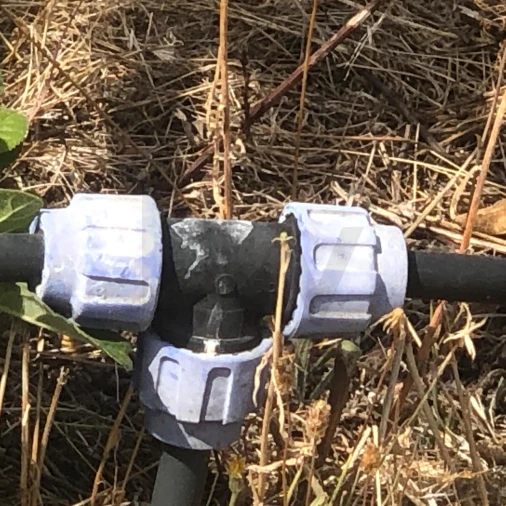 Quinta para Venda em Assares e Lodões Foto 5