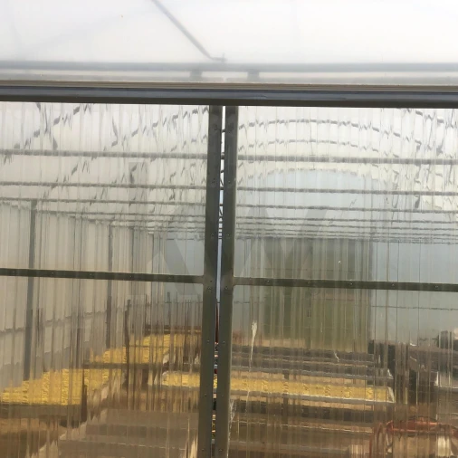 Quinta para Venda em Assares e Lodões Foto 9