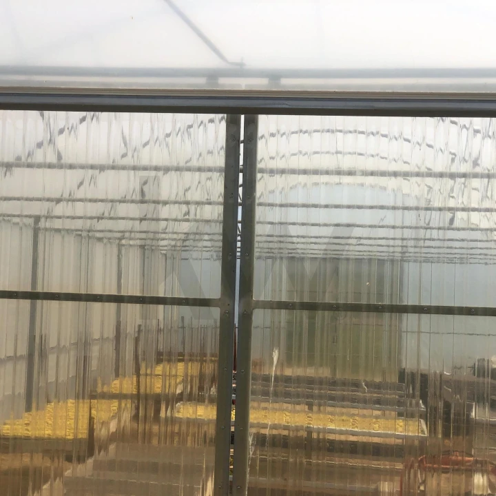 Quinta para Venda em Assares e Lodões Foto 9