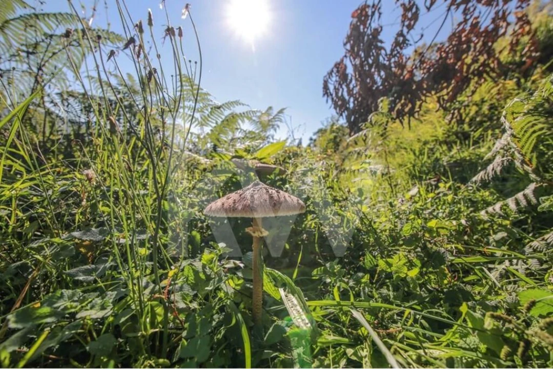 Moradia T3 para Venda em Labruja Foto 6