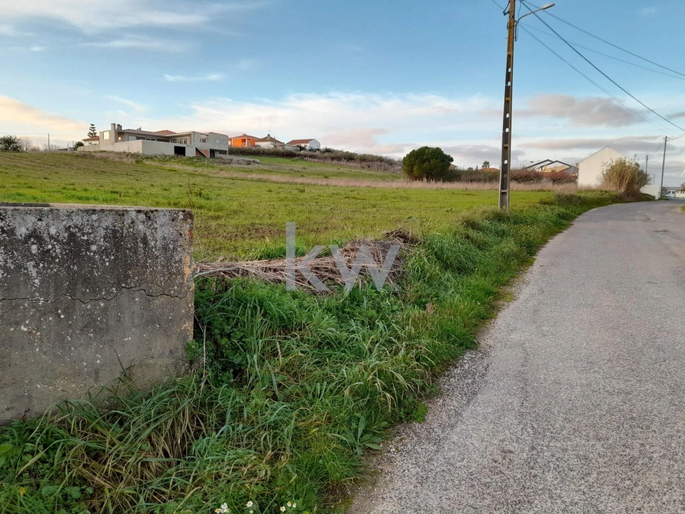 Terreno para Venda em Freiria Foto 1