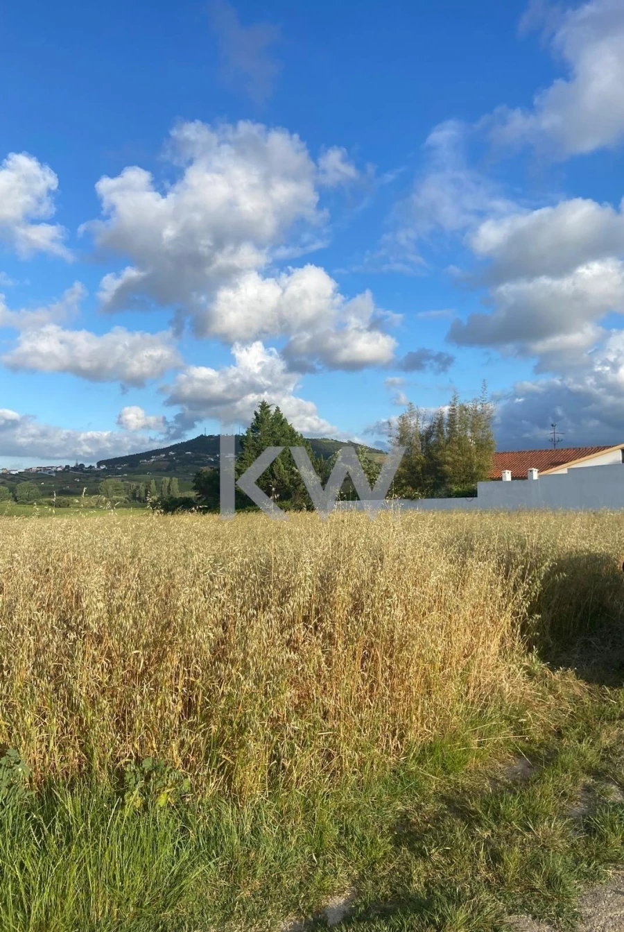 Terreno para Venda em Freiria Foto 6