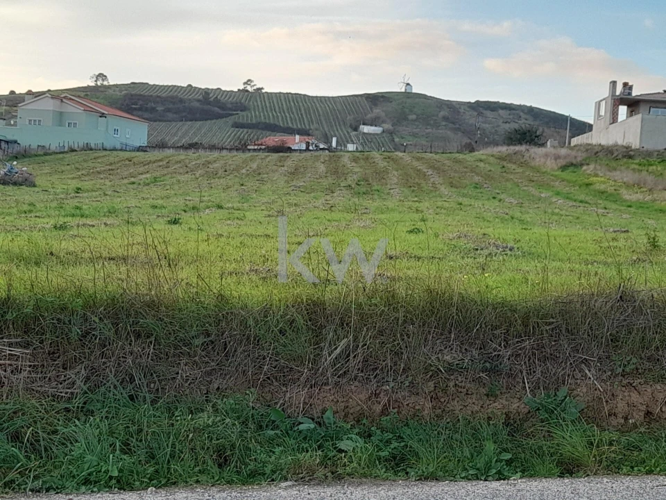 Terreno para Venda em Freiria Foto 4