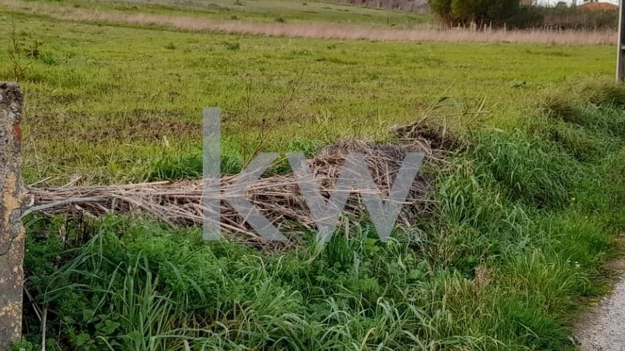 Terreno para Venda em Freiria