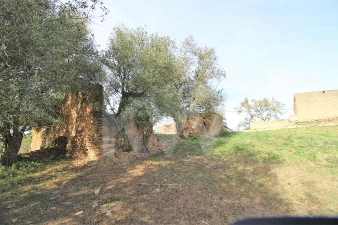 Terreno para Venda em Ourique Foto 14