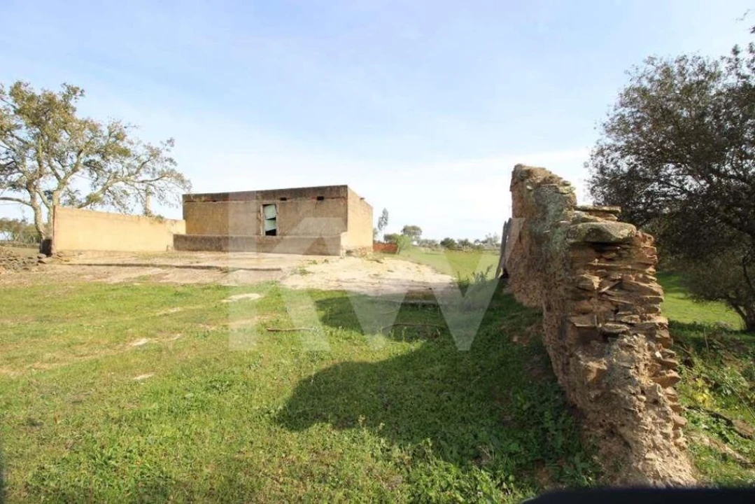 Terreno para Venda em Ourique Foto 8