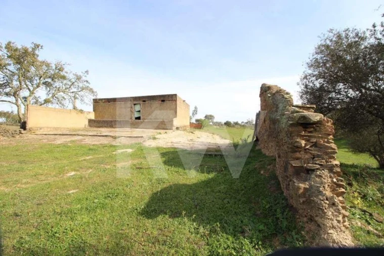 Terreno para Venda em Ourique Foto 8