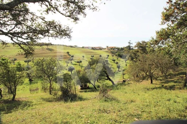 Terreno para Venda em Ourique Foto 17