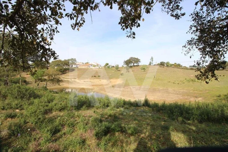 Terreno para Venda em Ourique Foto 9