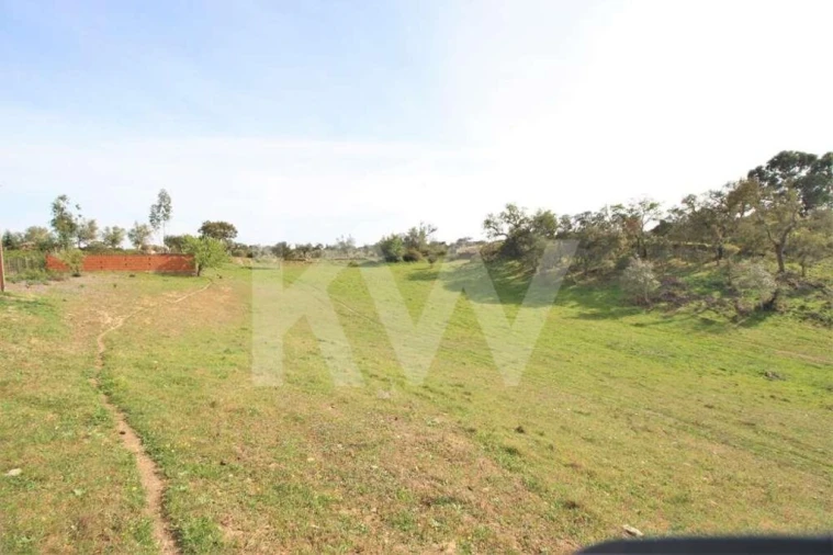 Terreno para Venda em Ourique Foto 13