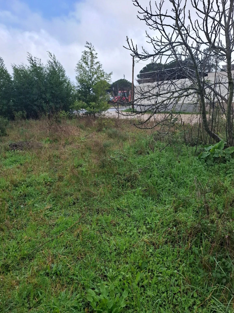 Terreno para Venda em Fernao Ferro Foto 11