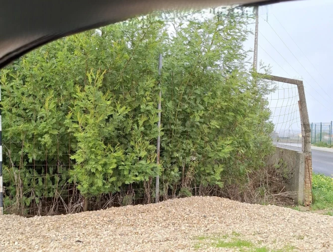 Terreno para Venda em Fernao Ferro Foto 6