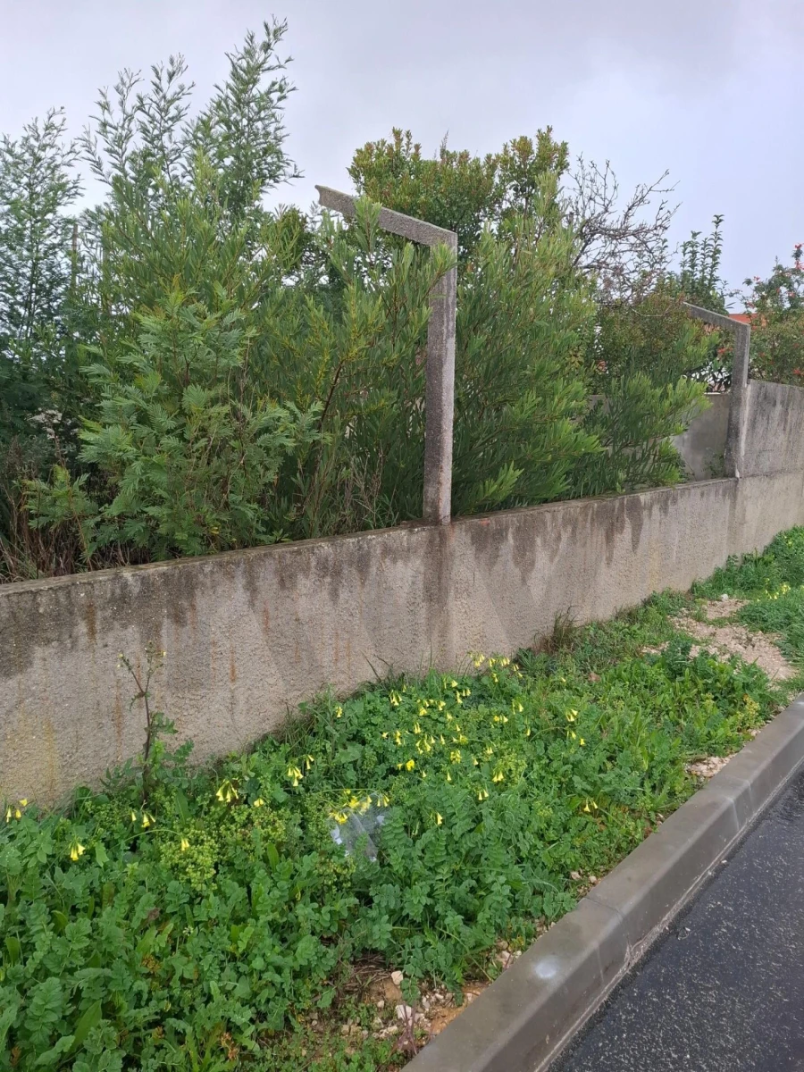 Terreno para Venda em Fernao Ferro Foto 14