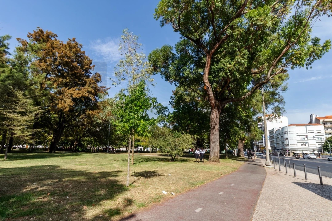 Apartamento T1 para Arrendamento em Alvalade Foto 35