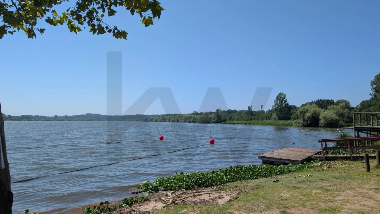 Terreno para Venda em Trofa, Segadães e Lamas do Vouga Foto 8
