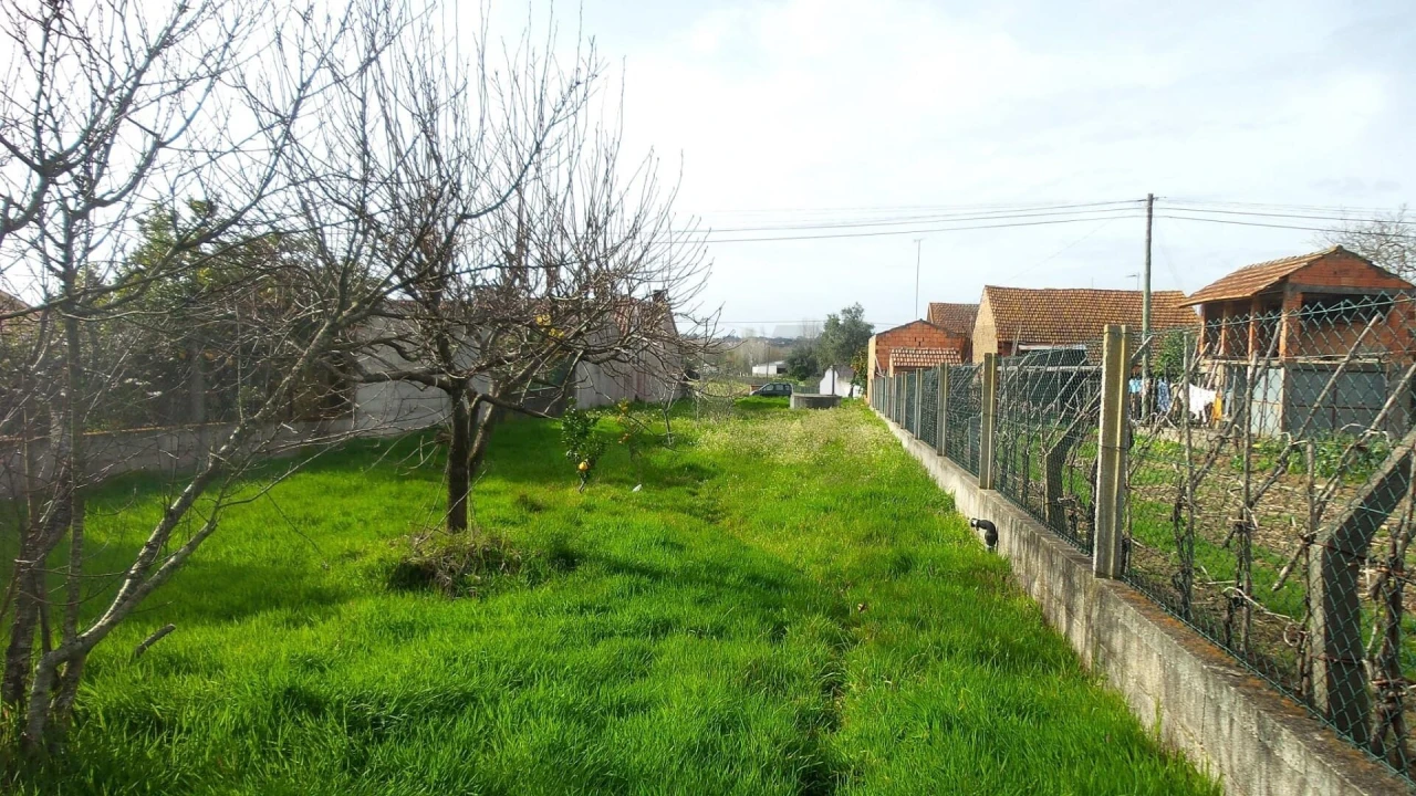 Terreno para Venda em Trofa, Segadães e Lamas do Vouga Foto 4