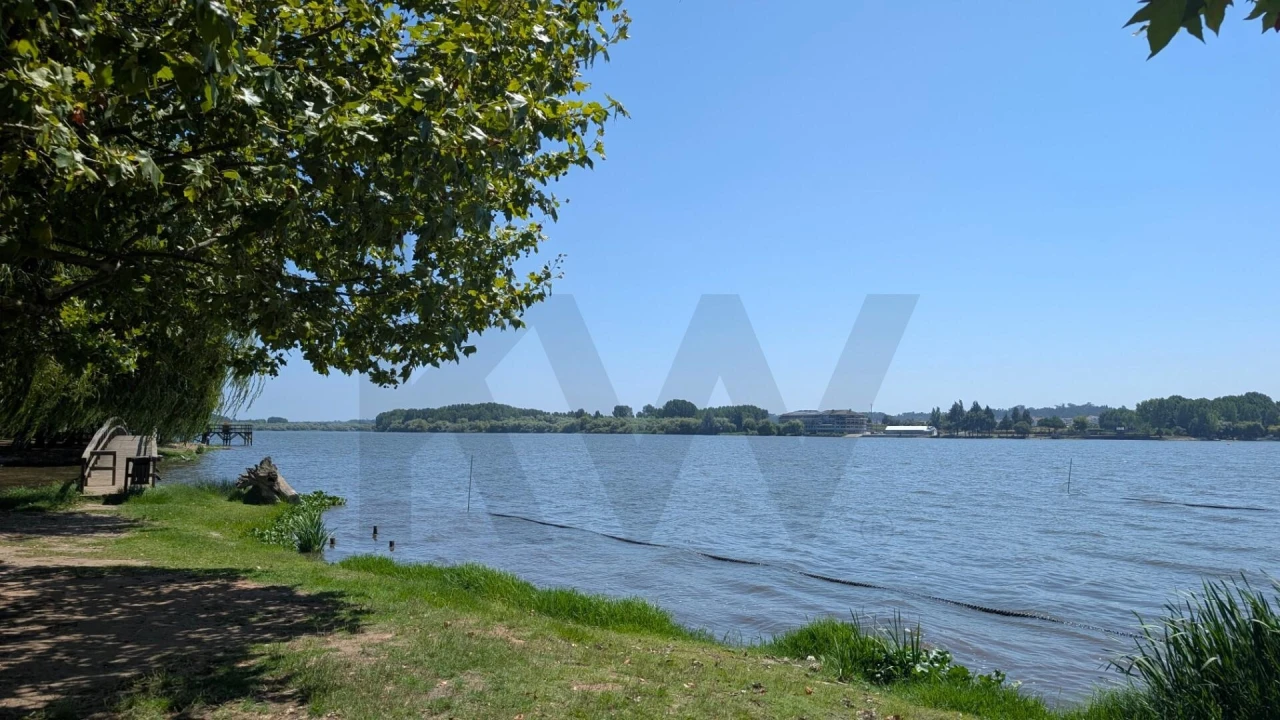 Terreno para Venda em Trofa, Segadães e Lamas do Vouga Foto 6