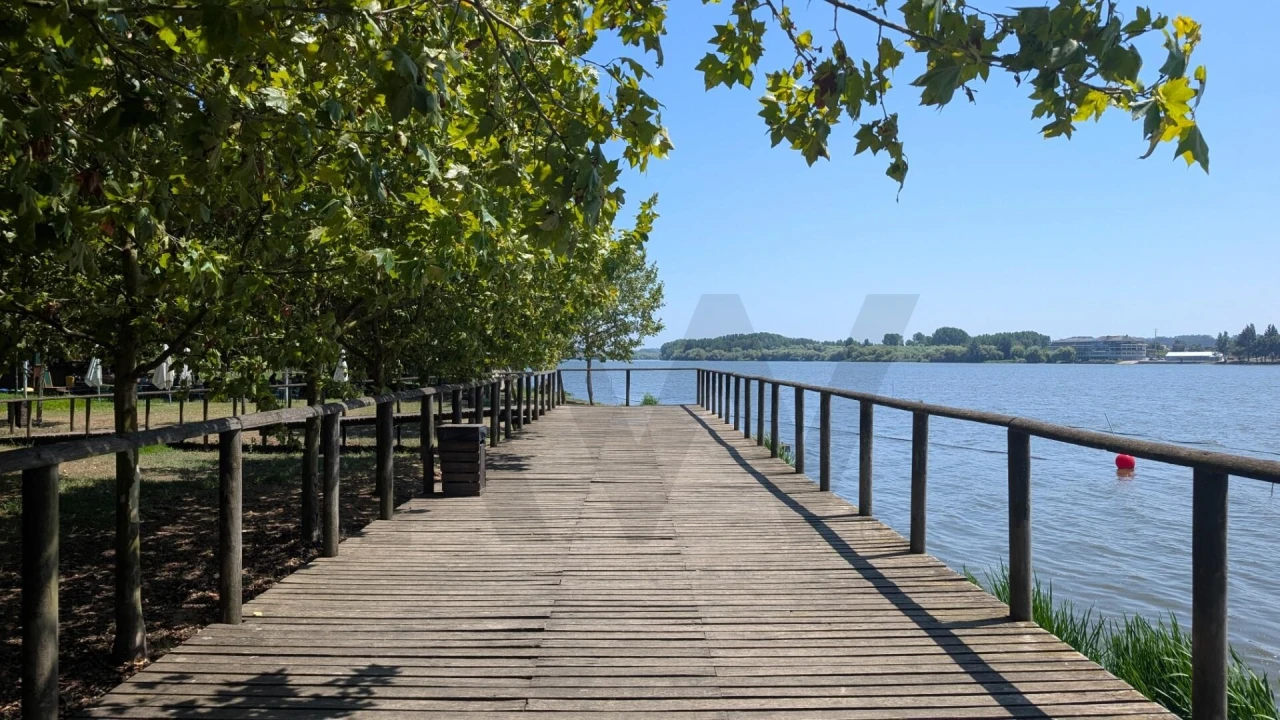 Terreno para Venda em Trofa, Segadães e Lamas do Vouga Foto 13