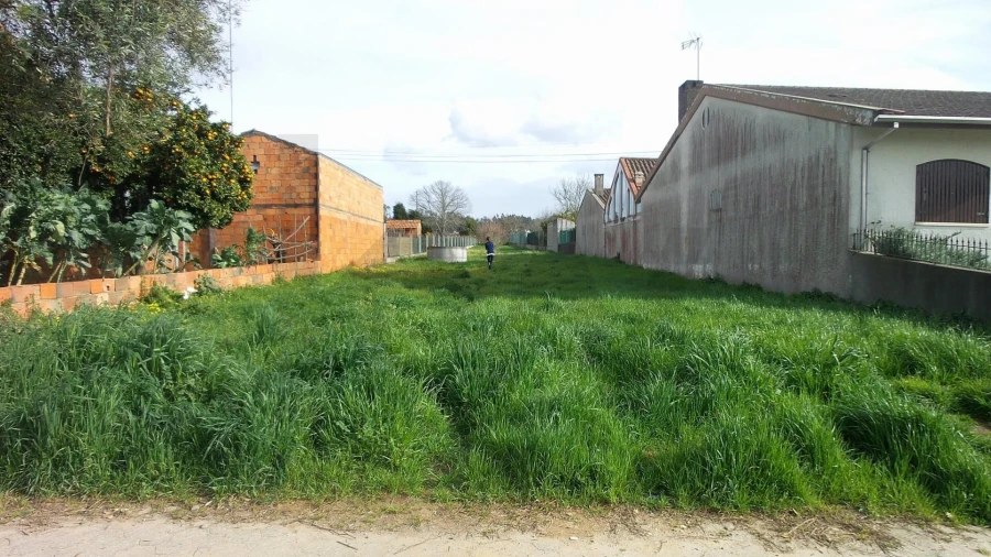 Terreno para Venda em Trofa, Segadães e Lamas do Vouga