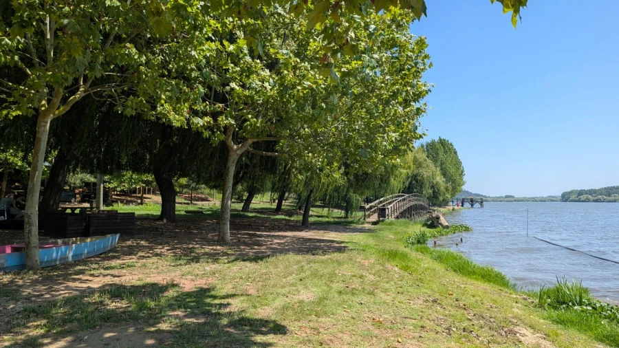 Terreno para Venda em Trofa, Segadães e Lamas do Vouga Foto 10