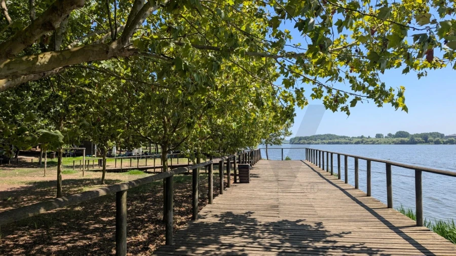 Terreno para Venda em Trofa, Segadães e Lamas do Vouga Foto 12