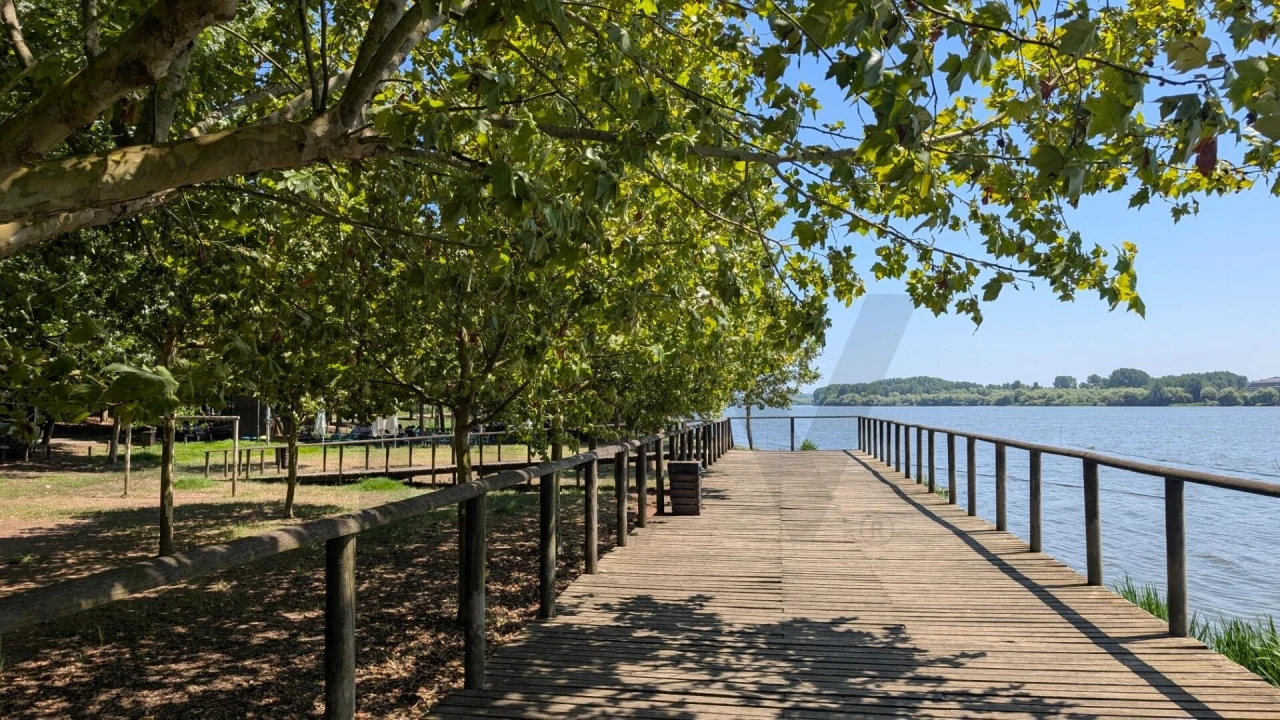 Terreno para Venda em Trofa, Segadães e Lamas do Vouga Foto 12