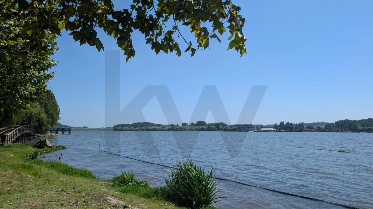 Terreno para Venda em Trofa, Segadães e Lamas do Vouga Foto 9