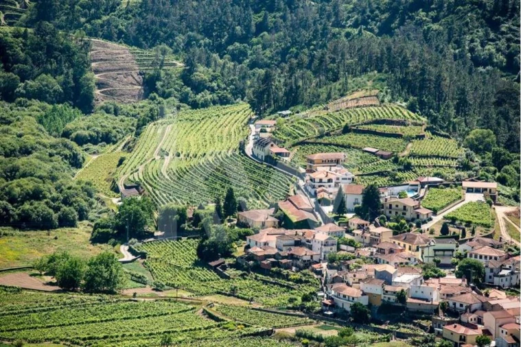 Quinta T5 para Venda em Cumieira Foto 24