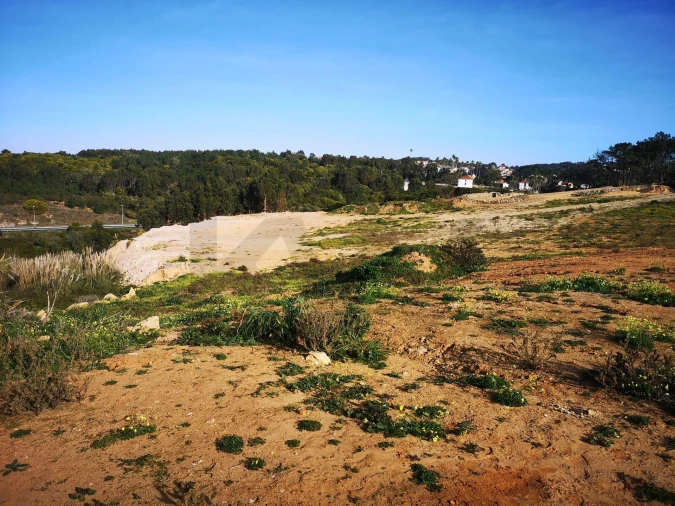 Terreno para Venda em Ericeira Foto 17