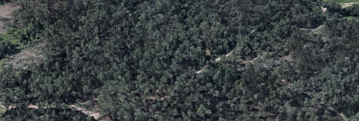 Terreno para Venda em Pousa Foto 5