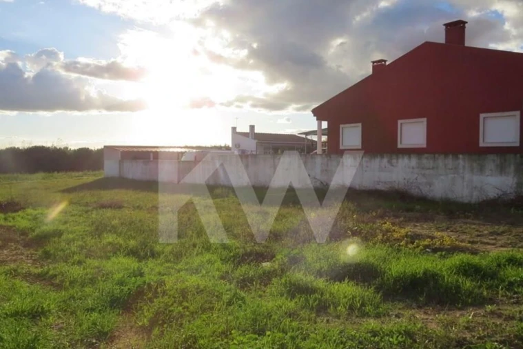 Terreno para Venda em Fazendas de Almeirim Foto 3
