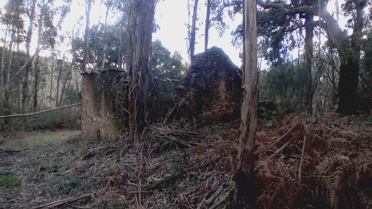 Moradia T3 para Venda em Maçãs de D. Maria Foto 5