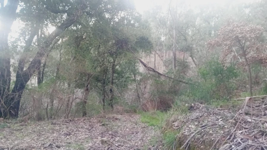 Moradia T3 para Venda em Maçãs de D. Maria Foto 6