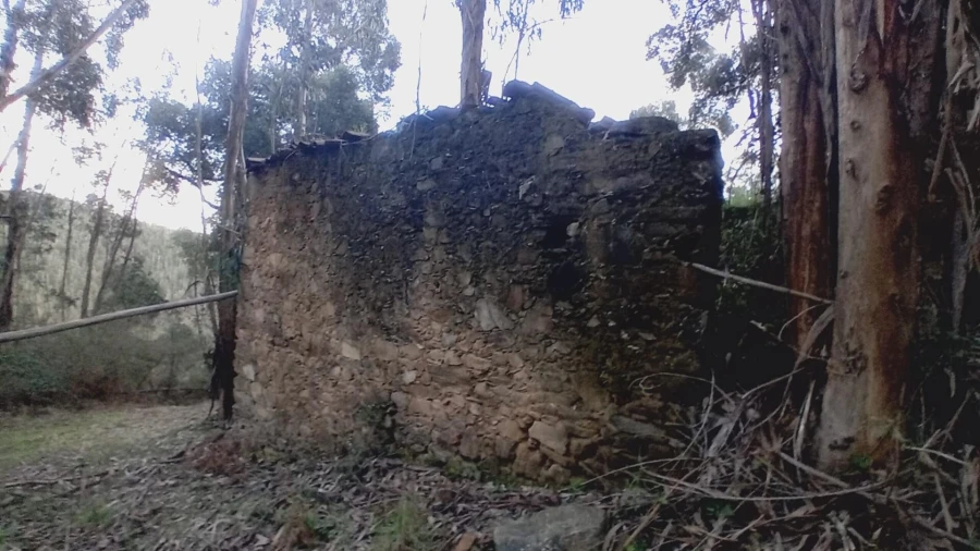 Moradia T3 para Venda em Maçãs de D. Maria Foto 4