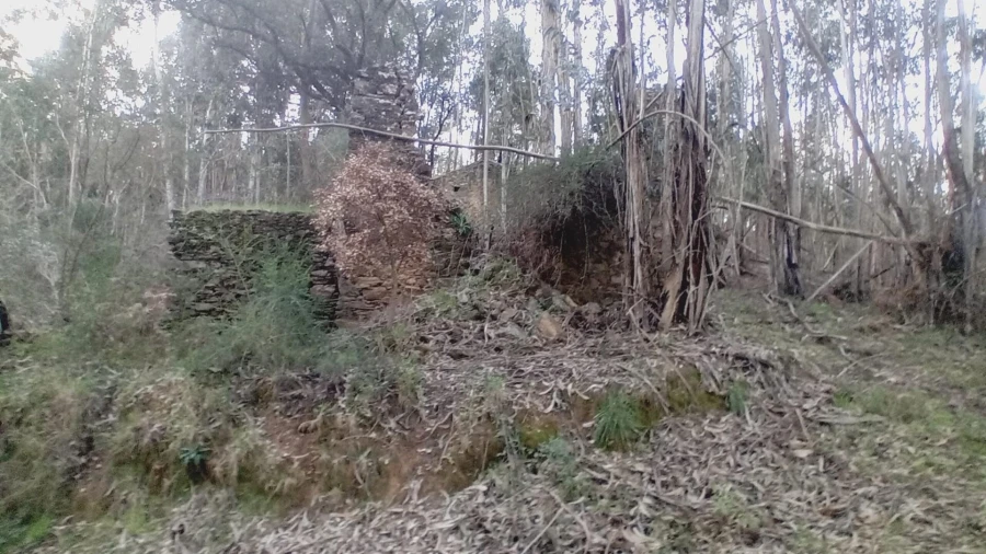 Moradia T3 para Venda em Maçãs de D. Maria Foto 2
