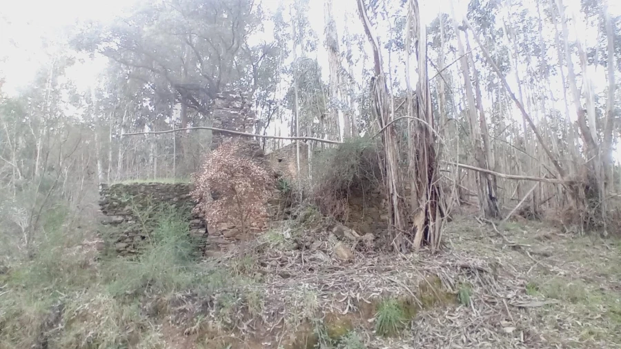 Moradia T3 para Venda em Maçãs de D. Maria Foto 3